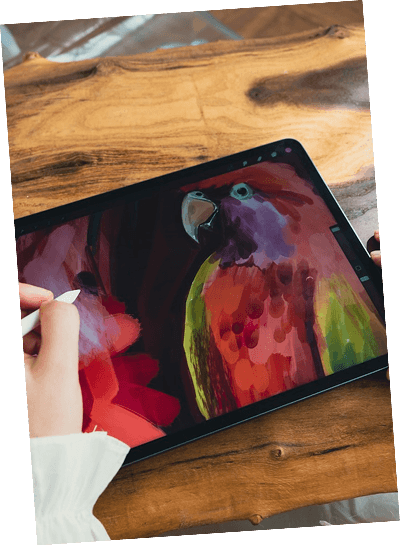 Hand painting a colorful parrot on a tablet with a stylus